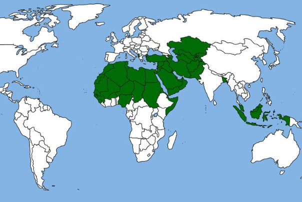 Literacy and Human Development Index in Muslim Majority Countries
