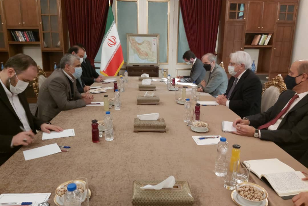 ایروانی: سازمان ملل و آمریکا خطاهای راهبردی در قبال بحران یمن را باید جبران کنند