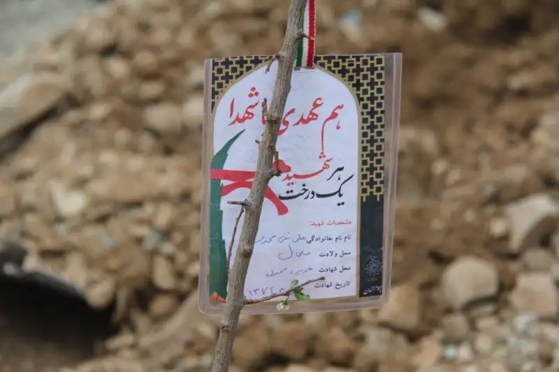 برگزاری پویش «هر شهید یک درخت»