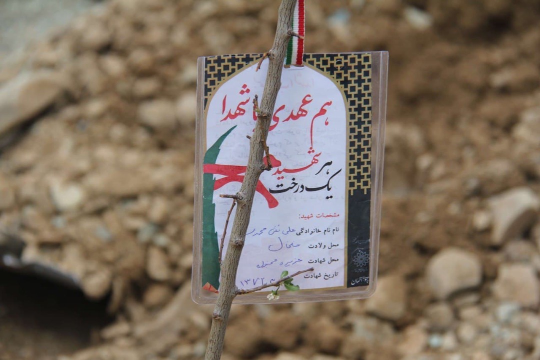 برگزاری پویش «هر شهید یک درخت»
