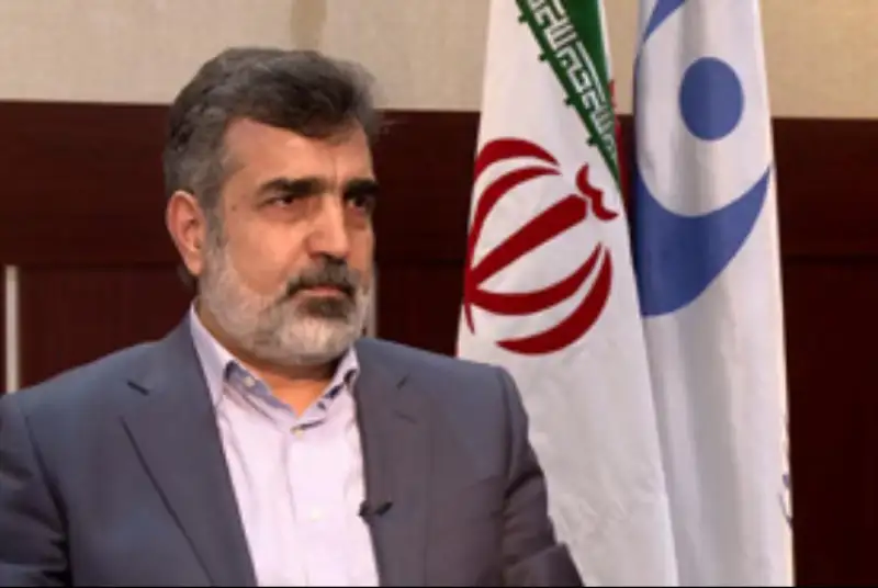 کمالوندی: امسال 40 تن کیک زرد تولید می‌کنیم