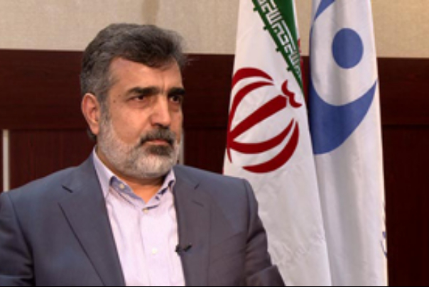 کمالوندی: امسال 40 تن کیک زرد تولید می‌کنیم