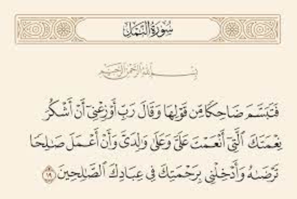 قبسات قرآنية.. فَتَبَسَّمَ ضَاحِكاً مِّن قَوْلِهَا ...