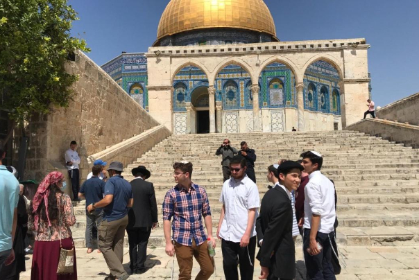 آخر التطورات في فلسطين المحتلة