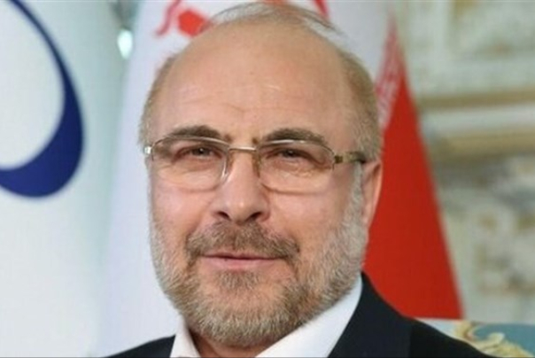 Iranian Speaker urges more cooperation among Asian States