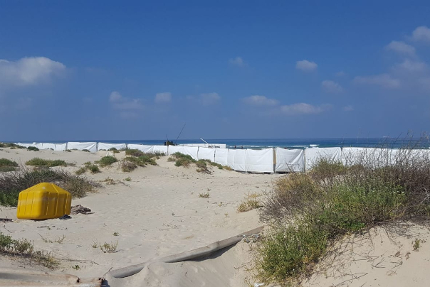 זעם על החלטת ערים לא להכניס פלסטינים לחופים: "גזענות במסווה של בריאות הציבור"
