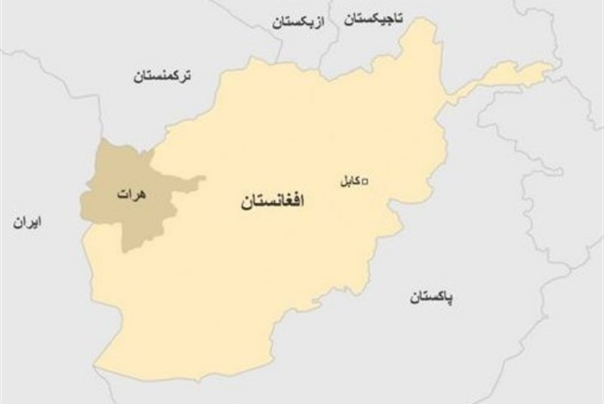 اخبار ضد و نقیض از سقوط هرات