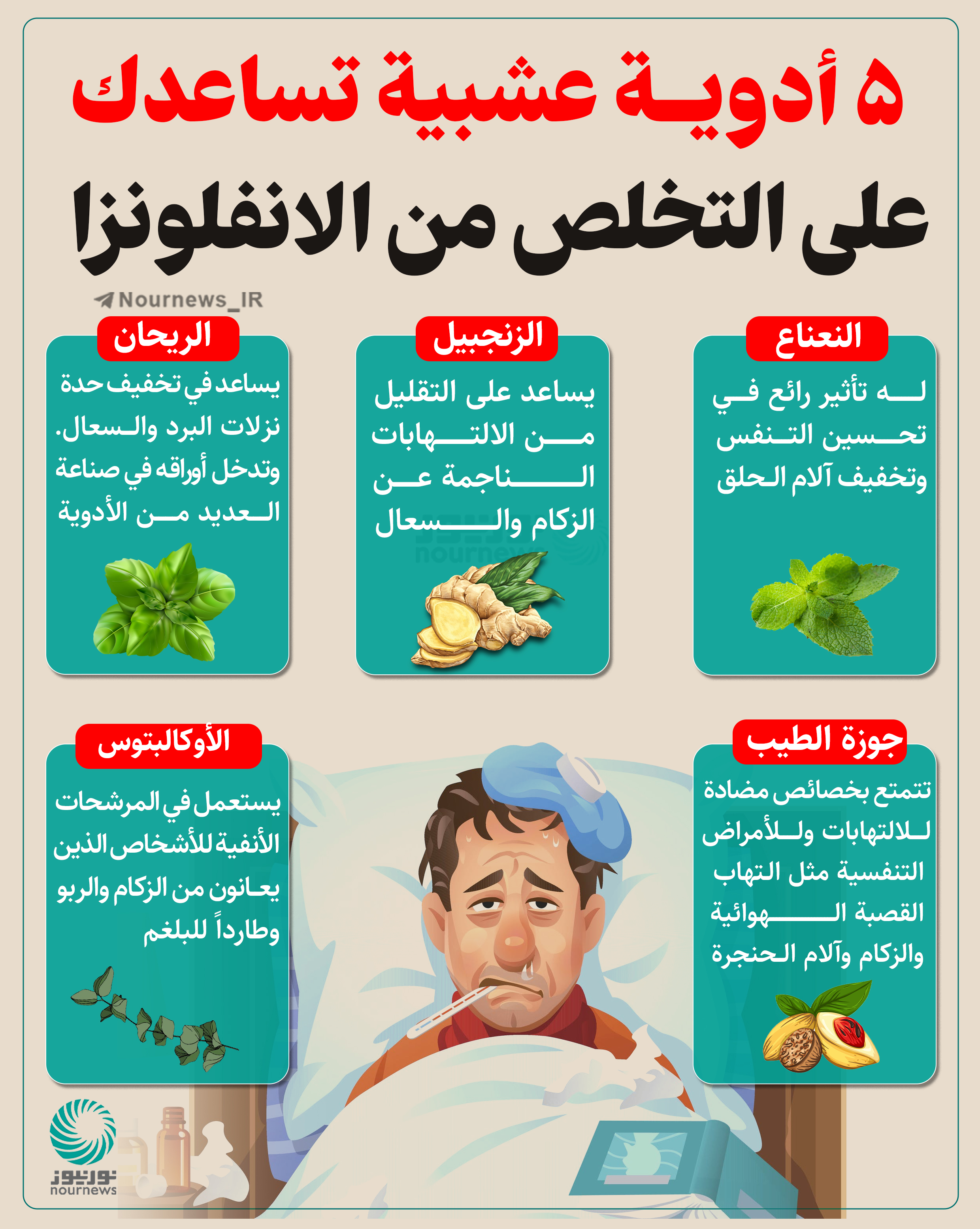 5 أدوية عشبية تساعدك على التخلص من الانفلونزا