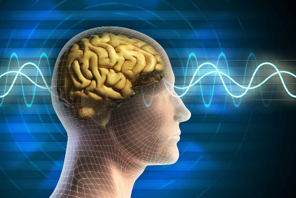 الدماغ البشريّ.. يُبقينا أسرى في قبضة الماضي لمُدة 15 ثانية!