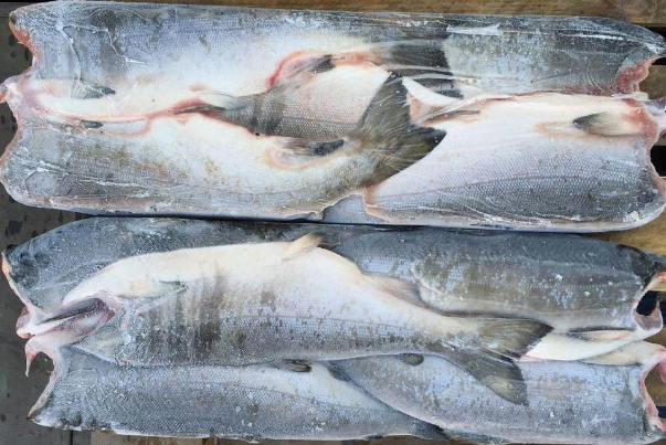 Экспорт мороженой рыбы иранской провинции Кордистан в Россию превысил 313 т