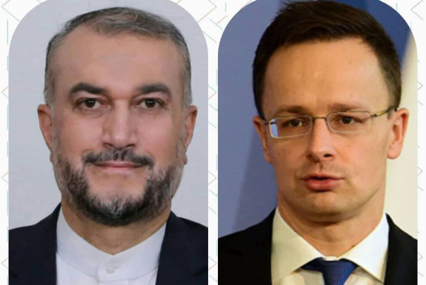 Амир Абдоллахиян и его венгерский коллега провели телефонный разговор