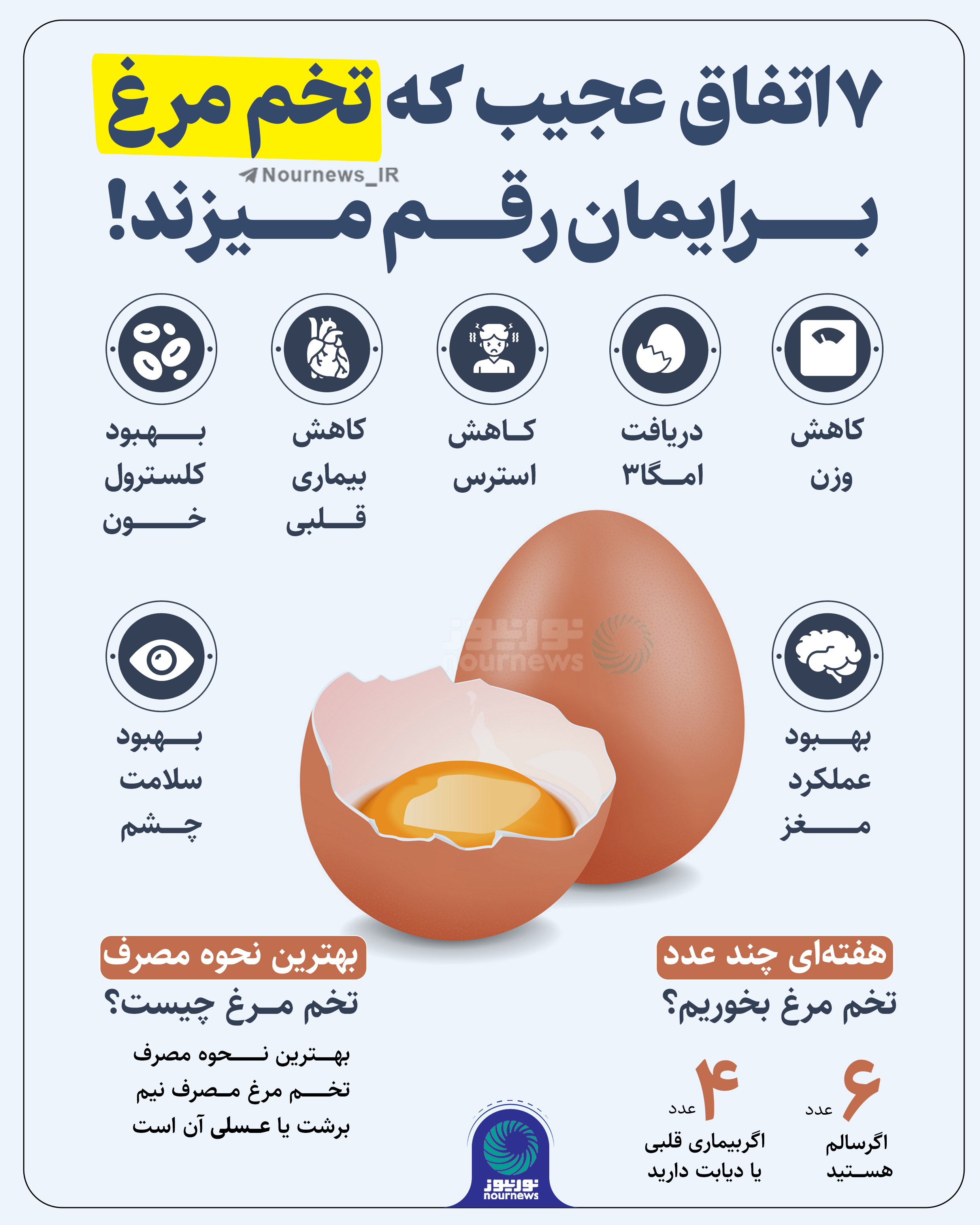 بیست و دو اتفاق عجیب که تخم مرغ برایمان رقم می‌زند