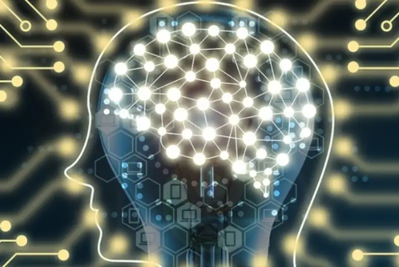 مهاجرت نخبگان از موانع اصلی توسعه اقتصاد دانش بنیان در کشور است