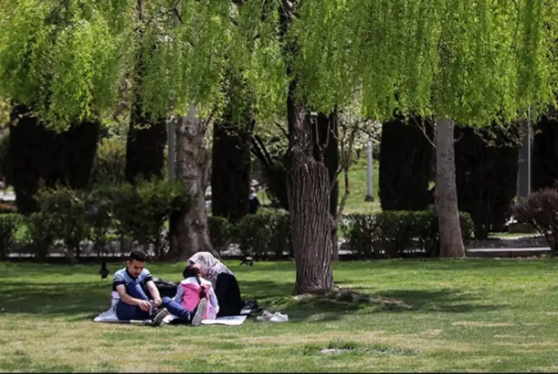 شهرداری به دنبال تفکیک جنسیتی در پارک‌ها است؟