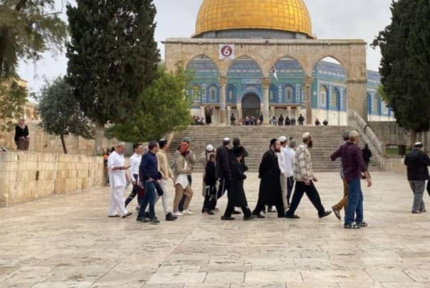 فلسطين المحتلة.. قوات الاحتلال تسمح باقتحامات المتطرفين لليوم الثالث