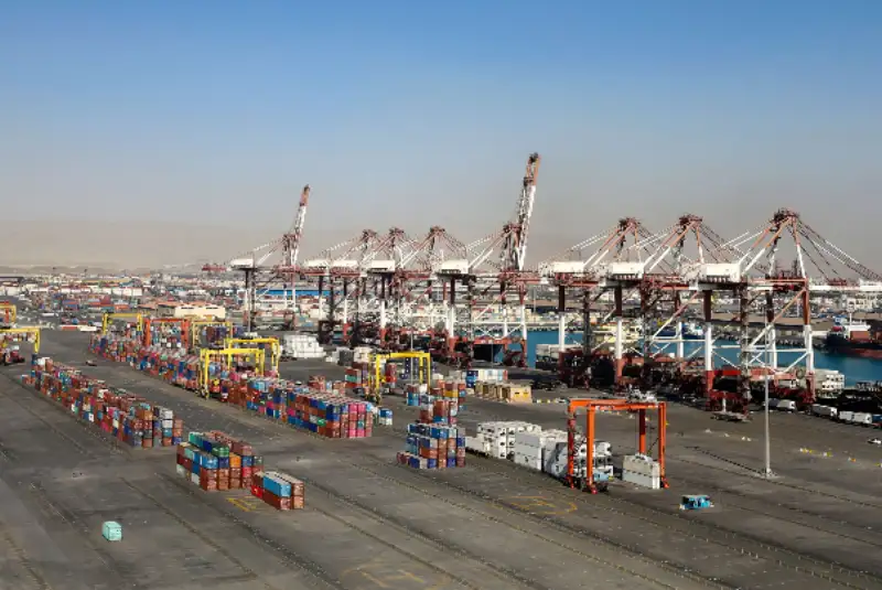 ترخیص فوری 2900 تن مرغ وارداتی از بندر شهید رجایی