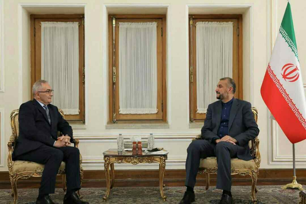امیرعبداللهیان: اجرای کریدور خلیج فارس - دریای سیاه منشا تحولات مثبت می‌شود