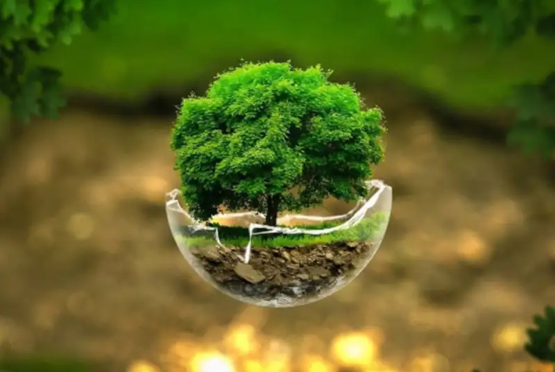 اعضای جدید شورای‌عالی محیط زیست معرفی شدند