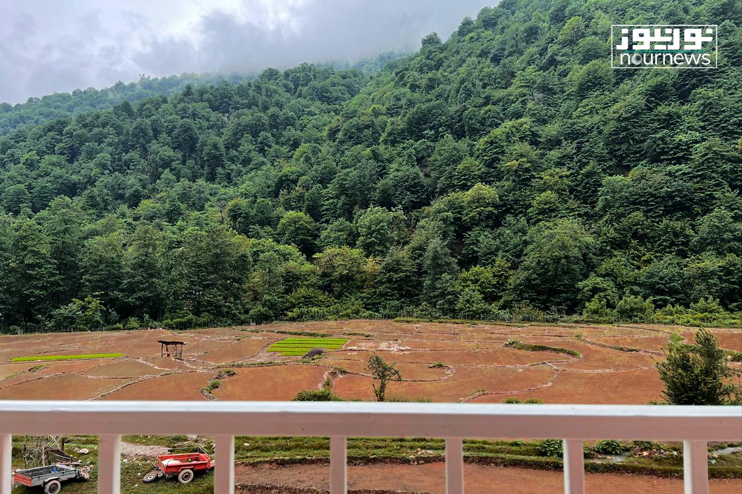 طبیعت زیبای ماسال در سبزترین فصل سال