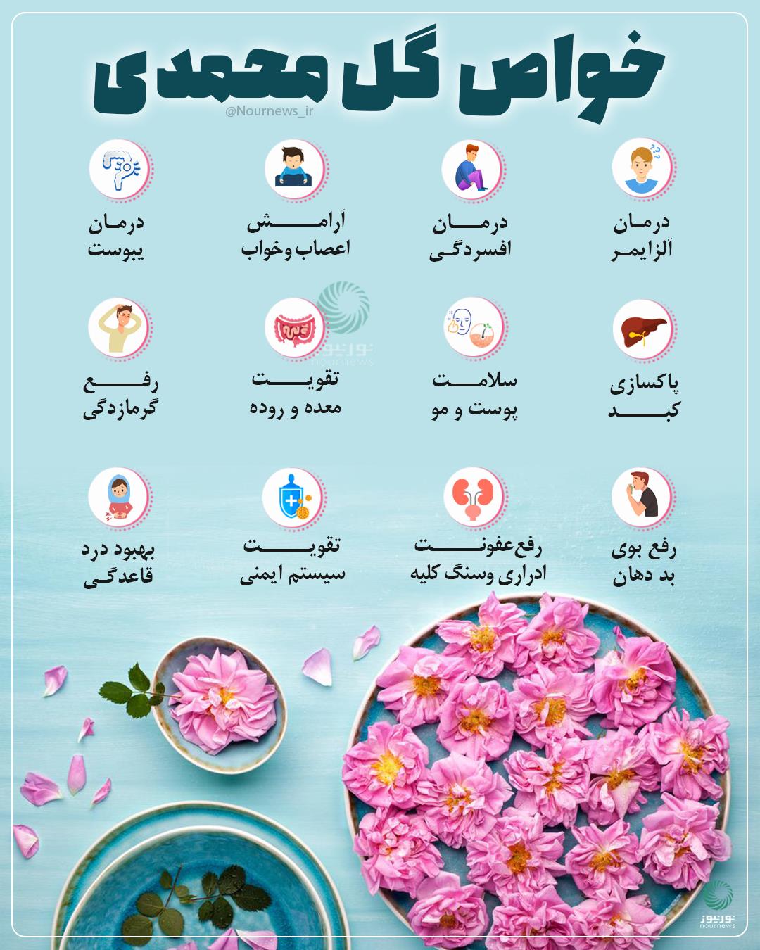 خواص گل محمدی را بشناسید