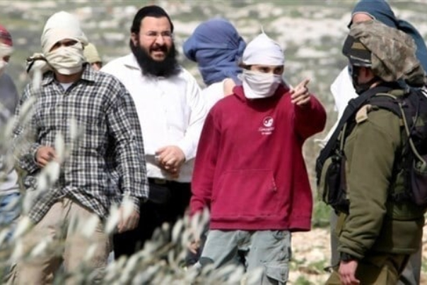 מתנחלים ישראלים מציתים גידולי חיטה בעיר מחוז שכם