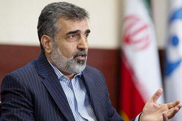 AEOI spokesman urges Grossi to stay away from political remarks