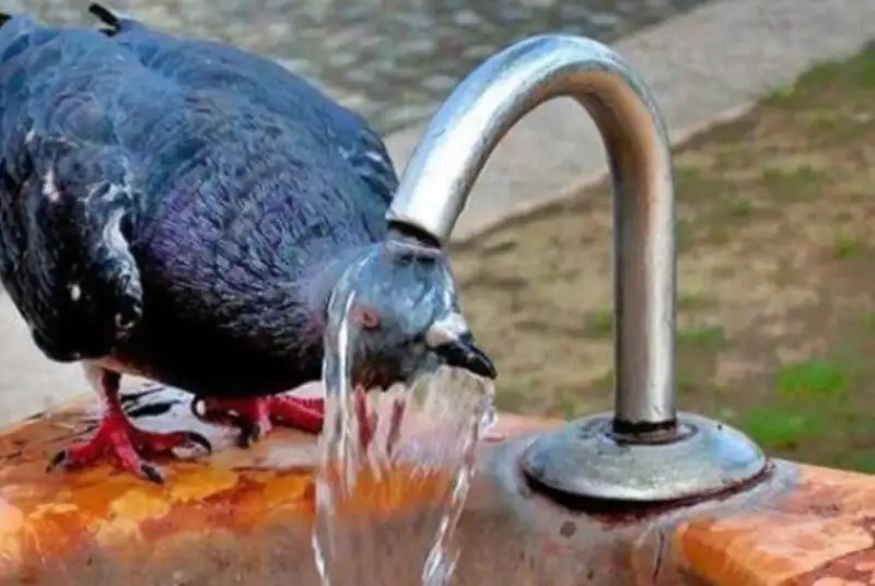 هوا در تهران و 12 استان دیگر گرم‌تر می‌شود