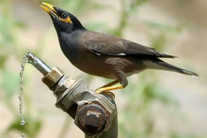 دمای هوا تا 2 درجه کاهش خواهد داشت
