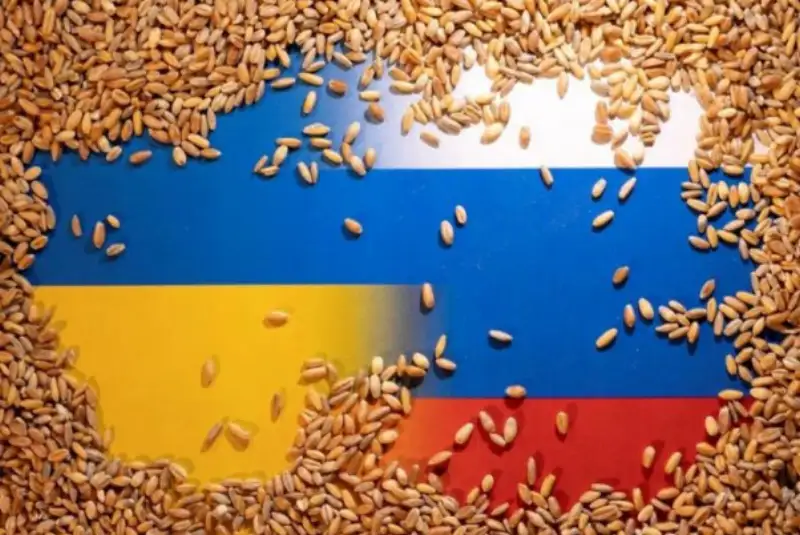 پیام‌های سیاسی و امنیتی صادرات مجدد غلات از اوکراین