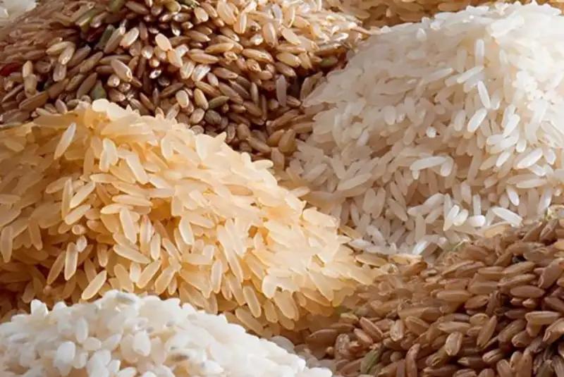 کاهش قیمت برنج ایرانی