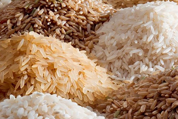 کاهش قیمت برنج ایرانی