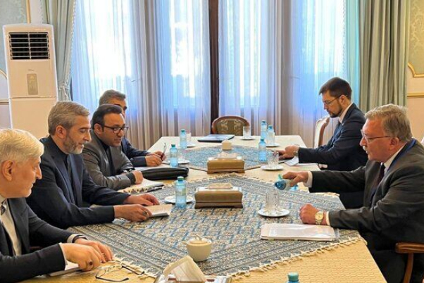 اولیانوف با علی باقری دیدار کرد