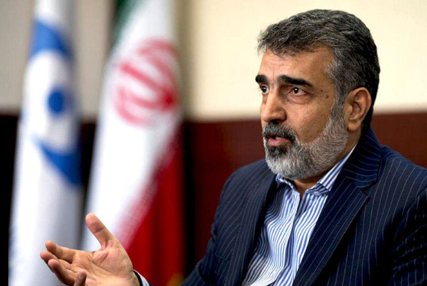 کمالوندی: نوع قضاوت مدیرکل آژانس برخلاف اصل بی‌طرفی و حرفه‌ای‌گری است