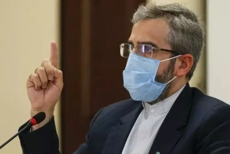 باقری: دولت، تضییع حقوق ایرانیان در هیچ نقطه‌ای از جهان را برنمی‌تابد