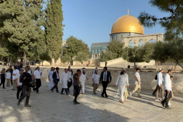 ירושלים 2022: יותר מ-48,000 מתנחלים הסתערו על אל-אקצא