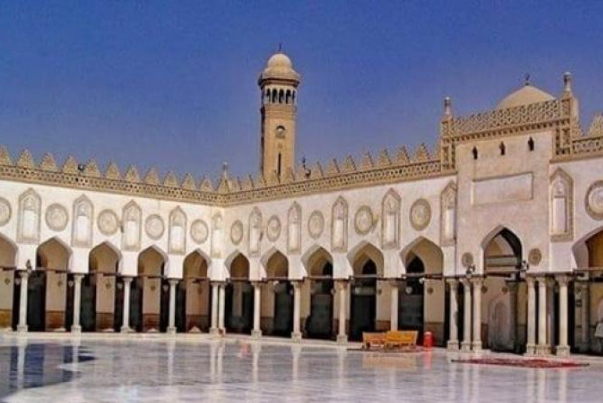 الأزهر يطالب المسلمين بمقاطعة المنتجات الهولندية والسويدية