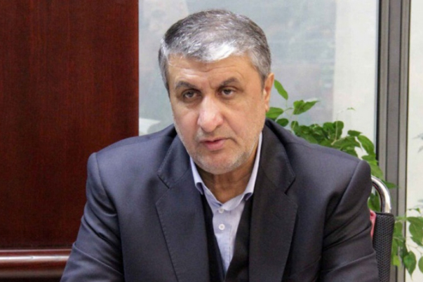 Критика Ислами в адрес гендиректора МАГАТЭ