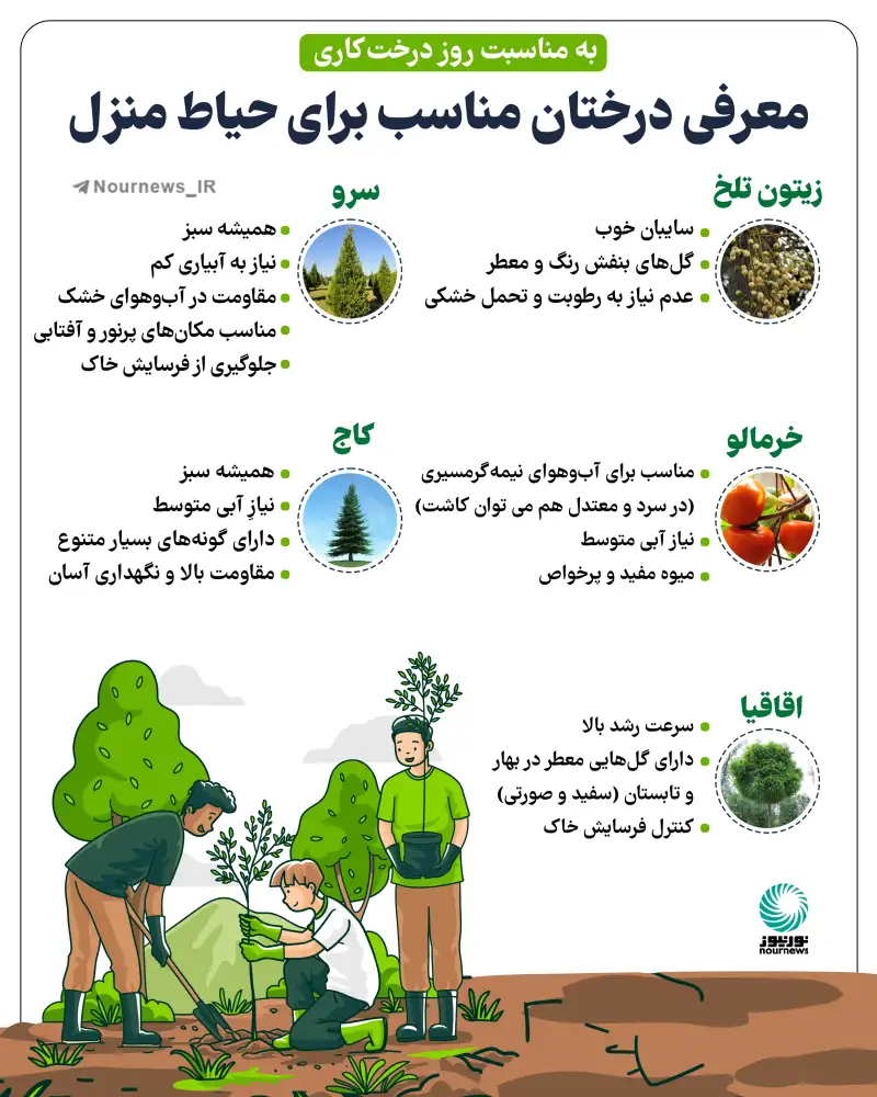 معرفی درختان مناسب برای حیاط منزل