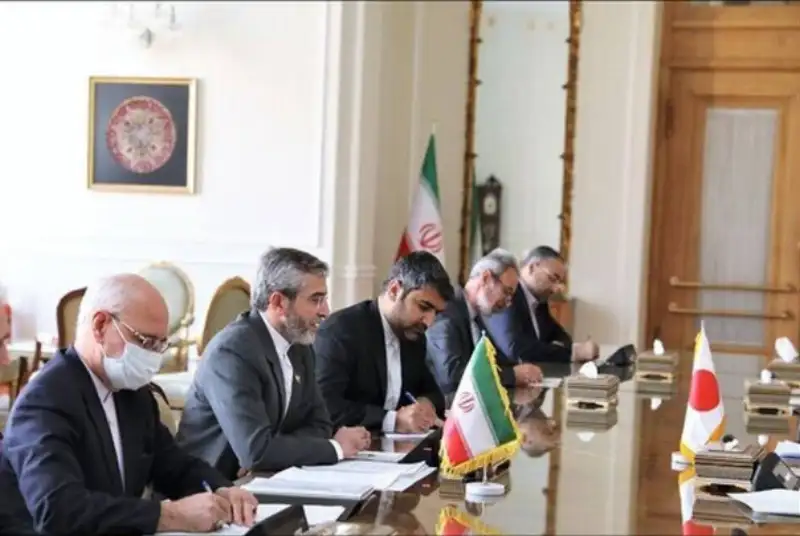 باقری: ارتقای همکاری‌های تهران و توکیو بسترساز صلح و ثبات است
