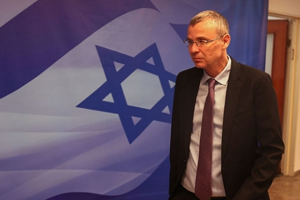 החלשת מערכת המשפט: לוין והקואליציה הממשלתית בתהליכי חזרה לחקיקה