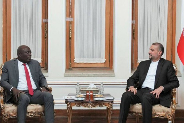 عبداللهيان: تطوير العلاقات مع الدول الإفريقية على جدول اعمالنا