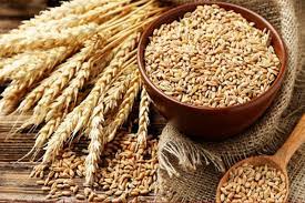 Iran’s grains storage rose 5.9% in 2022