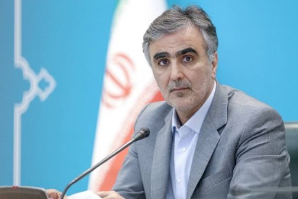 فرزین: تجربه عملی «حذف دلار از مبادلات غیر تجاری و سیاحتی» در ایام اربعین رخ داد