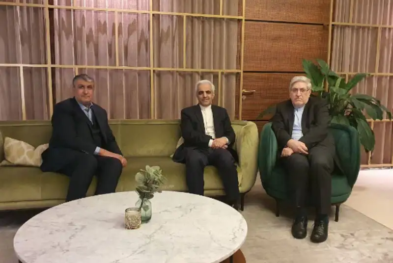 رئیس سازمان انرژی اتمی وارد وین شد