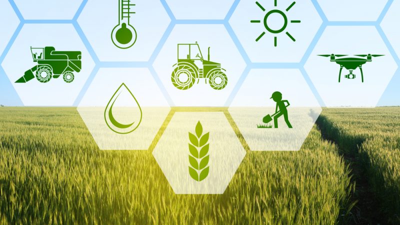 Iran and Belarus sign three documents on Agricultural cooperation