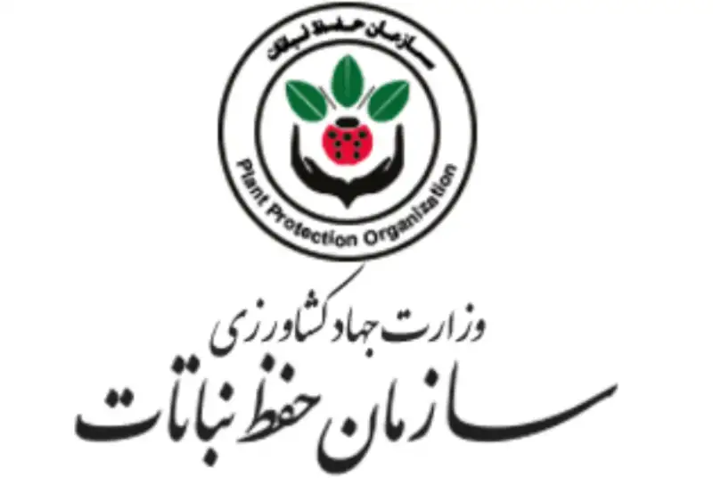 آقای رئیس جمهور؛ این گوی و این میدان