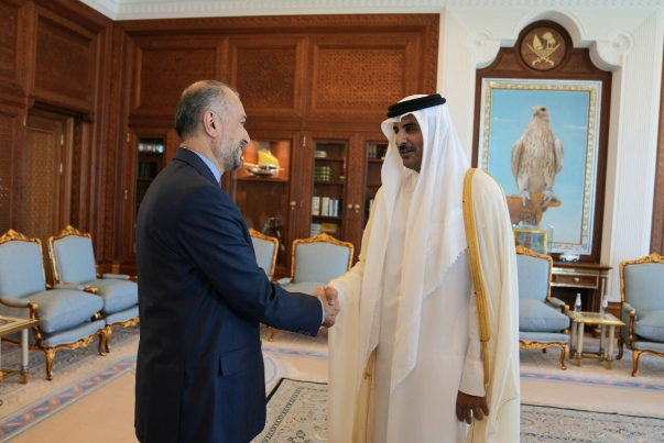عبداللهيان: على الدول الاسلامية تسخير طاقاتها لوقف العدوان على غزة