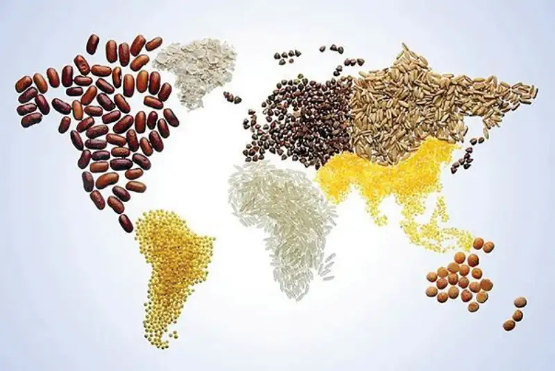 غذا با طعم اقتدار