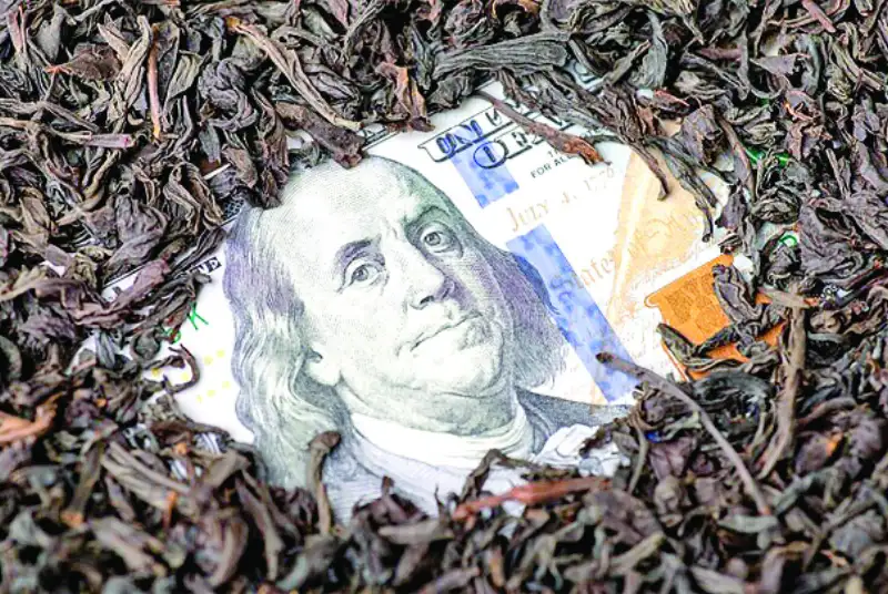 پشت صحنه «چای گیت»