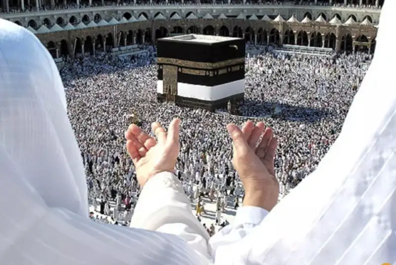 چه تعداد زائران عمره پول خود را پس گرفتند؟